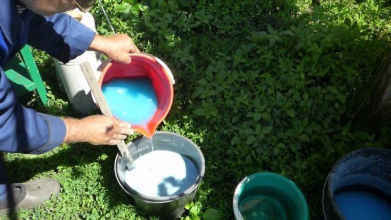 We treat and prevent tomato diseases: how to process tomatoes with Bordeaux mixture - step-by-step instructions for beginners