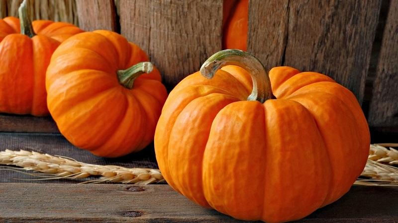 The best varieties of bush pumpkin and features of their cultivation