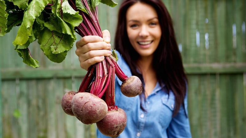 Is it possible to eat beets for gout: we will analyze the arguments for and against