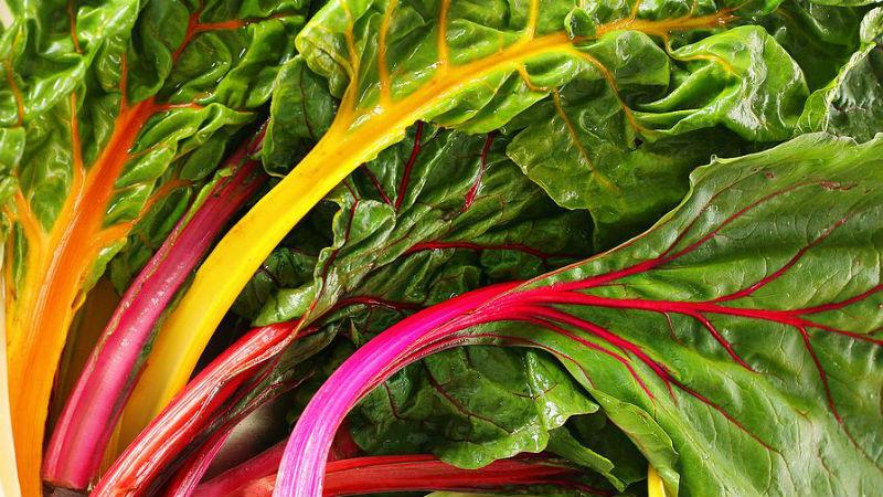 Not a waste, but a source of vitamins: what are the benefits of beet tops and how they can be used