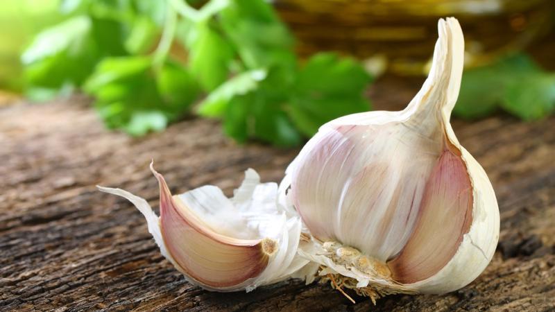 We adopt the wisdom of experienced gardeners - and then plant garlic before winter and what predecessors can harm