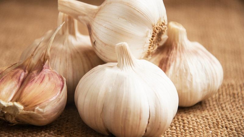 We adopt the wisdom of experienced gardeners - and then plant garlic before winter and what predecessors can harm