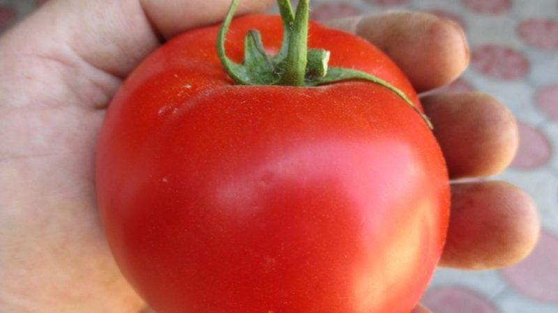 Detailed description of tomatoes Linda F1 - features of fruits and seeds