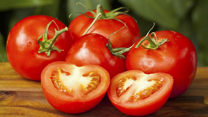 A positive in all respects variety from Russian breeders - Parodist tomato