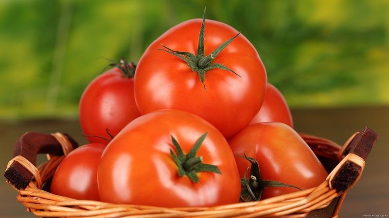 A positive in all respects variety from Russian breeders - Parodist tomato