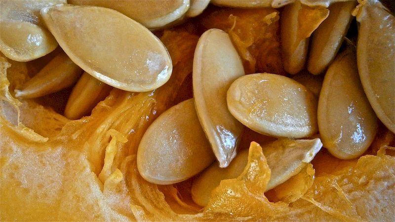 The benefits and harms of pumpkin for the liver: the medicinal properties of the vegetable and the rules for its use