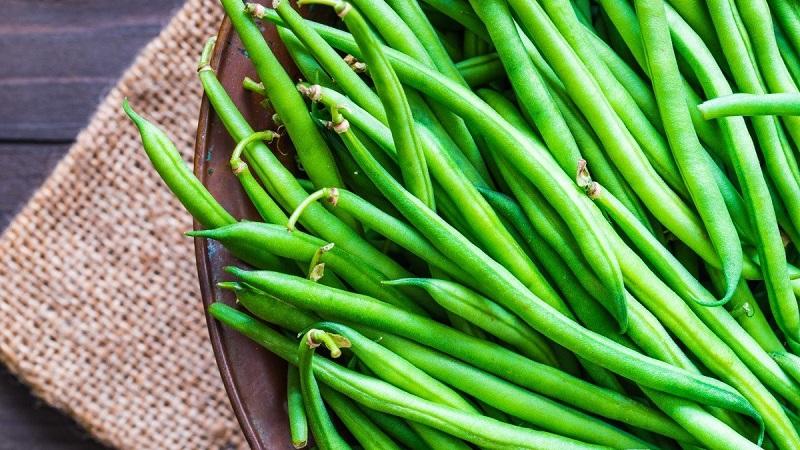 The benefits of bean pods: how to properly collect, prepare and make a healing drink