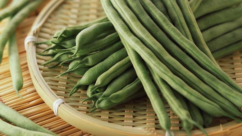 The benefits of bean pods: how to properly collect, prepare and make a healing drink