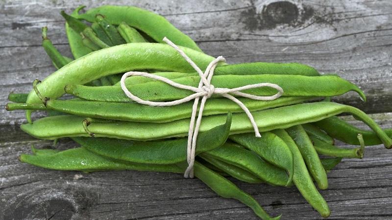 The benefits of bean pods: how to properly collect, prepare and make a healing drink