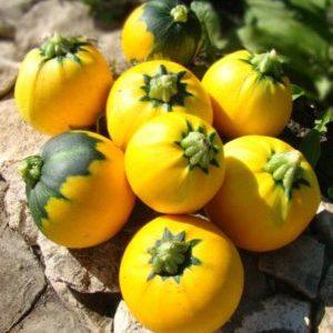 A variety of squash Orange with an exotic taste and original appearance: we grow and surprise our neighbors