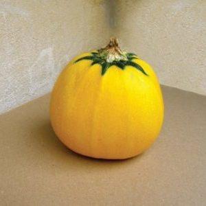 A variety of squash Orange with an exotic taste and original appearance: we grow and surprise our neighbors