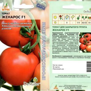 Stable and unpretentious in care, persistent tomato Zhenaros - a gift from Dutch breeders