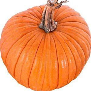 Large-fruited variety with a positive name - pumpkin Smile: the secrets of agricultural technology for obtaining a bountiful harvest