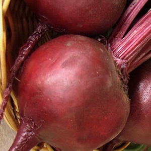 One of the most popular varieties among farmers is Pablo's beet
