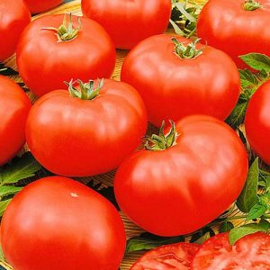 An unpretentious, but very tasty variety of tomatoes Miracle of the market with a rich harvest - a favorite of experienced gardeners