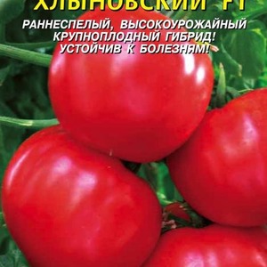 Simple and hassle-free tomato Khlynovsky: characteristics and description of the variety