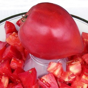 An early ripe hybrid variety from Siberian breeders - the Ob domes tomato and reviews of summer residents about these tomatoes