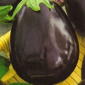 Review of the Nutcracker eggplant variety: advantages and disadvantages, nuances of growing