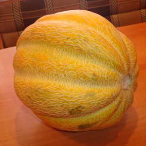 How is Chamomile melon different from other varieties and is it worth growing
