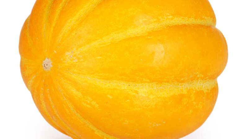 How does Chamomile melon differ from other varieties and is it worth growing