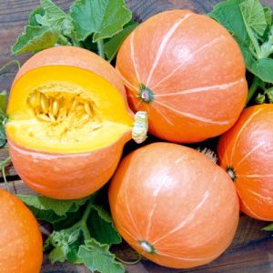 Very compact and prolific Amazon pumpkin with crunchy sweet pulp: what is good and how to grow correctly