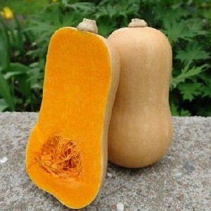 The favorite of gardeners and culinary experts is Butternut pumpkin: we grow it without hassle and use it in delicious recipes
