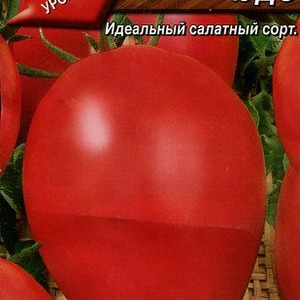 Universal, productive, early ripening and so beloved by summer residents tomato Siberian miracle