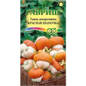 What does the decorative turban pumpkin Red Riding Hood look like and why grow it?