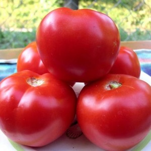 High yield at minimal cost - tomato Spasskaya Tower f1: gardeners' reviews and growing secrets