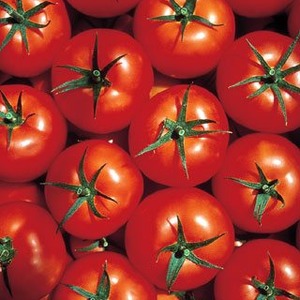 Ideal for cool climates, but still yielding a rich harvest tomato Martha F1
