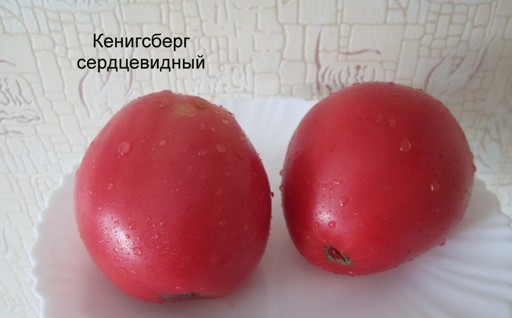 Assortment of tomatoes Konigsberg: description of varieties and tips for effective cultivation