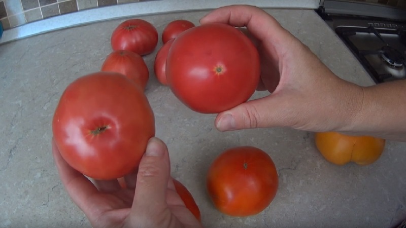 How to prepare tomato seeds at home and get a winter harvest from them - advice from experienced gardeners