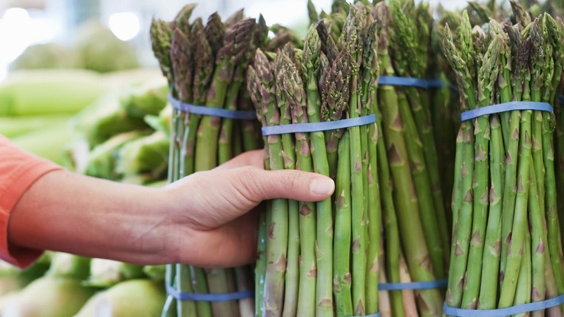 Why asparagus is good for weight loss and how to eat it correctly when fighting overweight