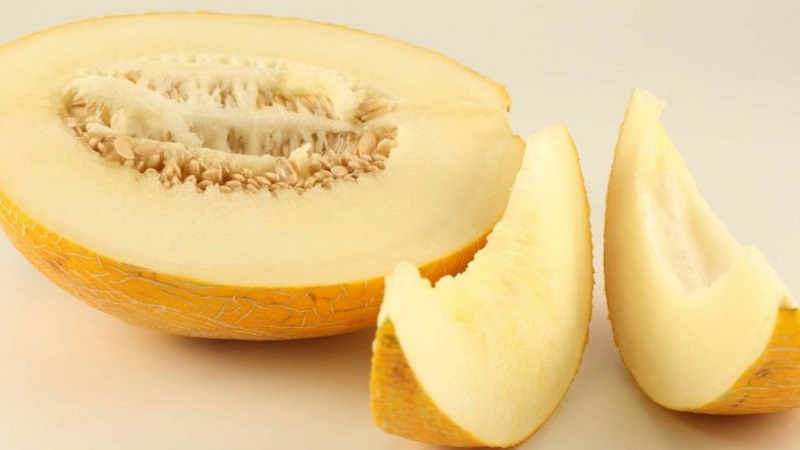 Melon is a berry, fruit or vegetable