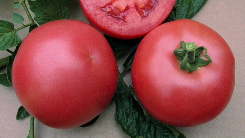 Hybrid variety from Japanese breeders - tomato Pink Paradise F1
