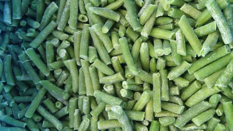 Getting ready for winter: how to freeze beans, preserving the beneficial properties and what to cook from them later