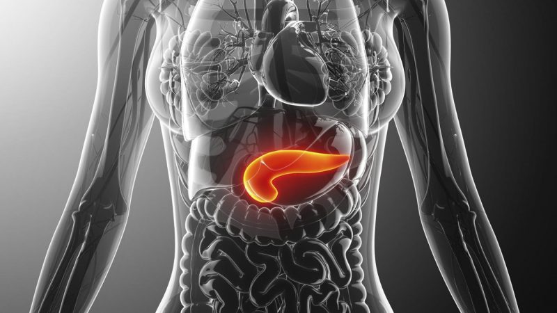 How to use dill seeds for pancreatitis and how they are useful