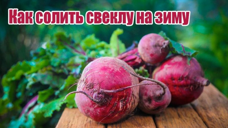 How to salt beets quickly and tasty: an express recipe for guests and ways to preserve a vegetable for the winter