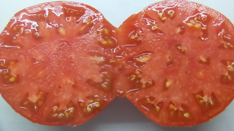 How to prepare tomato seeds at home and get a winter harvest from them - advice from experienced gardeners