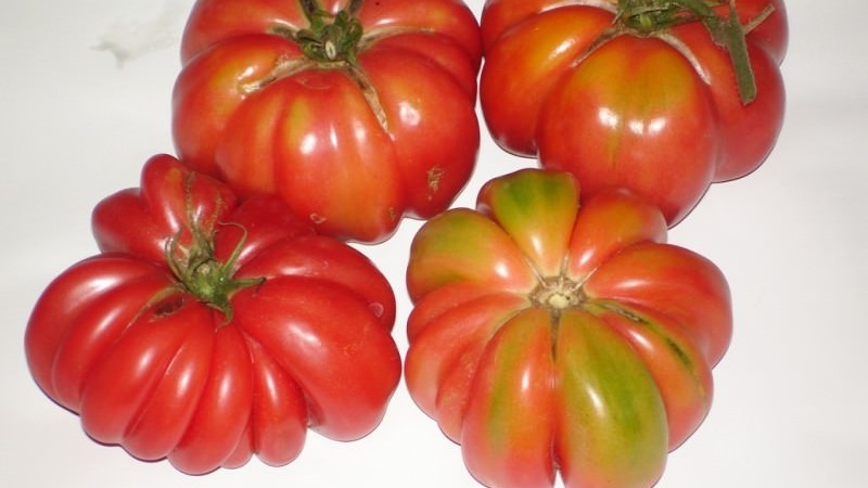 An extremely unusual variety from Siberian breeders - the Japanese crab tomato, which will not leave anyone indifferent