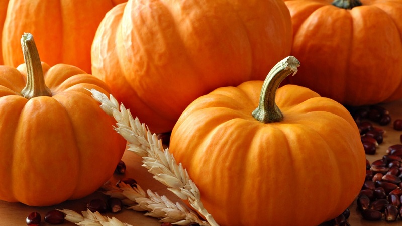 A tasty and healthy medicine from your own garden: pumpkin treatment for a number of diseases
