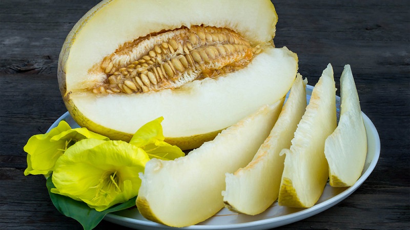 Is it possible to eat a melon during pregnancy: benefits, harms and contraindications