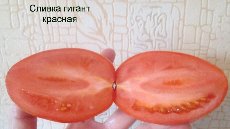 Unusual Tomato Cream and how to care for it