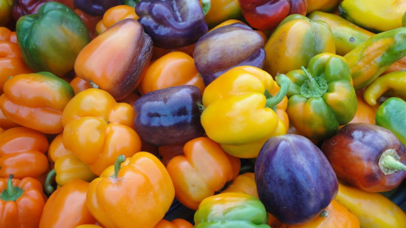 The benefits and harms of bell pepper: what a vegetable is good for the body and how to eat it correctly