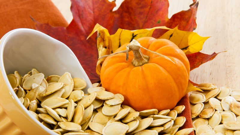 The benefits and harms of pumpkin for the body: the composition and properties of the vegetable, the rules for its use