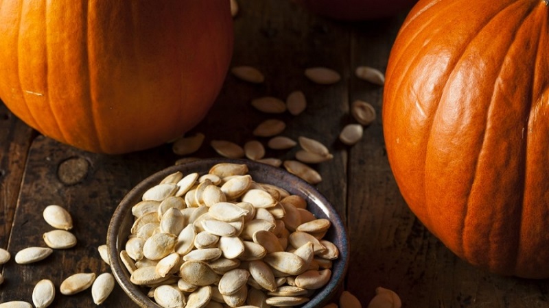 The benefits and harms of pumpkin for the body: the composition and properties of the vegetable, the rules for its use