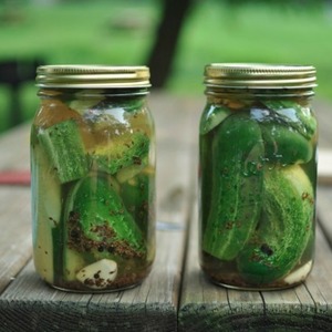 Recipes for cucumbers with apples for the winter: we cook deliciously and roll up correctly