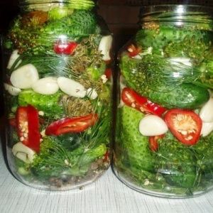 Recipes for cucumbers with apples for the winter: we cook deliciously and roll up correctly