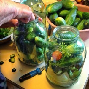 Recipes for cucumbers with apples for the winter: we cook deliciously and roll up correctly