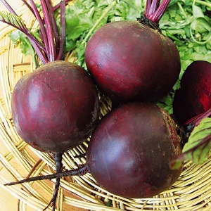 Sweet and full of vitamins mulatto beets: how to grow a rich harvest and where to use it